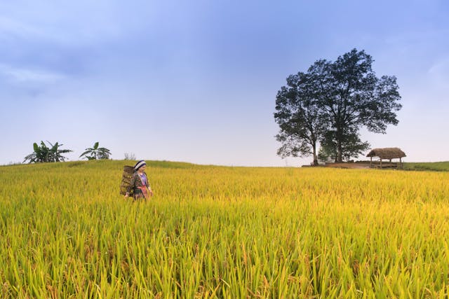 অবদান মানে কি