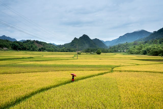 এগ্রিকালচার মানে কি